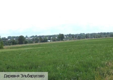 Эльбарусово деревня