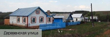 Анаткасы деревня (Мариинско-Посадский р-н)
