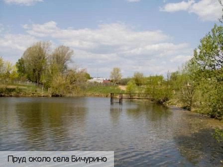 Бичурино село (Мариинско-Посадский р-н)