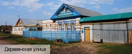 Ельниково деревня (Мариинско-Посадский р-н)