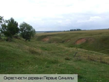 Первые Синьялы деревня (Мариинско-Посадский р-н)