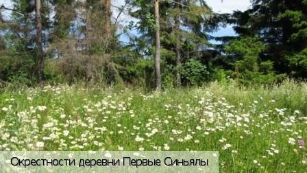 Первые Синьялы деревня (Мариинско-Посадский р-н)