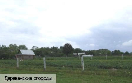 Чиршкасы деревня (Мариинско-Посадский р-н)