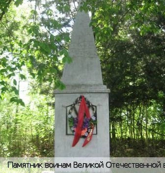Шульгино деревня (Мариинско-Посадский р-н)