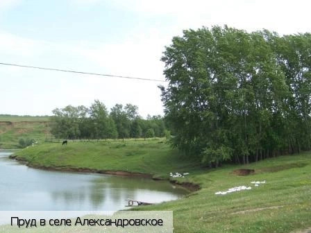 Александровское село