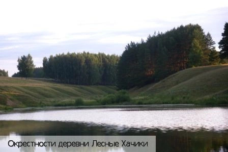 Лесные Хачики