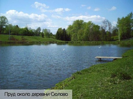 Сюлово деревня