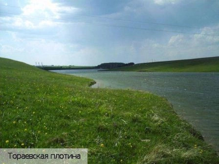 Тораево село