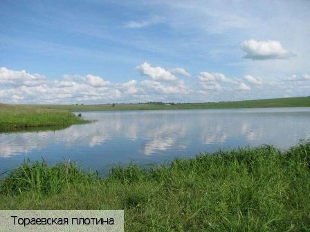 Тораево село