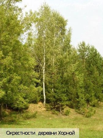 Хорной деревня