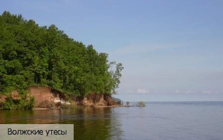 Шомиково деревня
