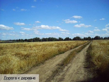 Ойкасы (Моргаушский р-н)