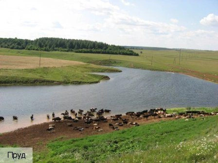 Батеево село