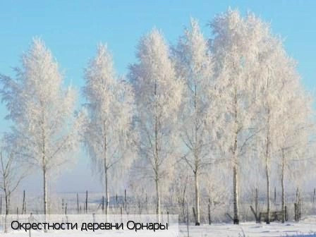 Орнары деревня