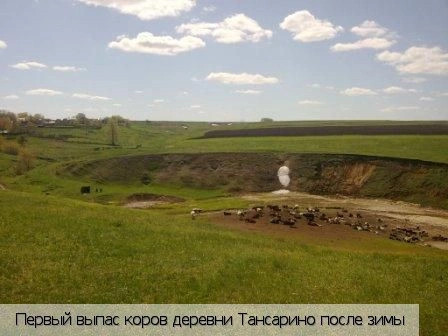 Тансарино деревня