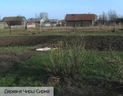 Урмарский район
