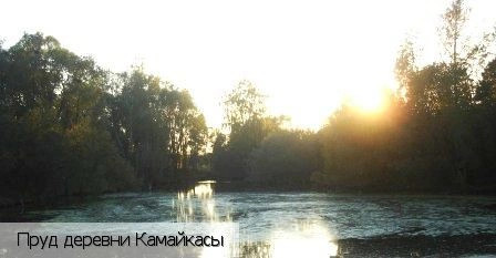 Цивильский район