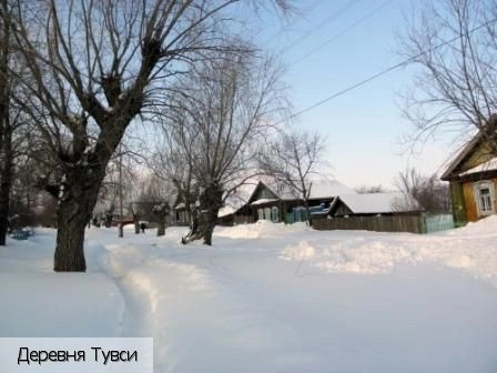 Цивильский район