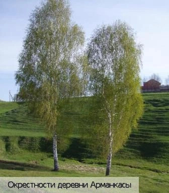 Арманкасы деревня