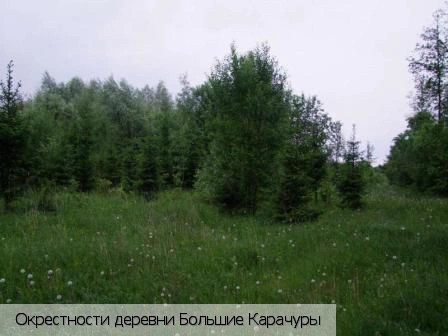 Большие Карачуры