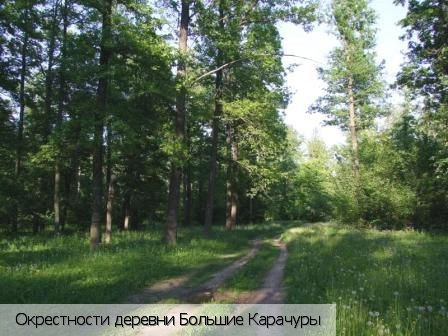 Большие Карачуры