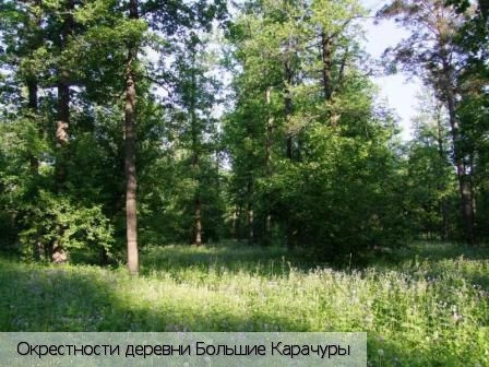 Большие Карачуры