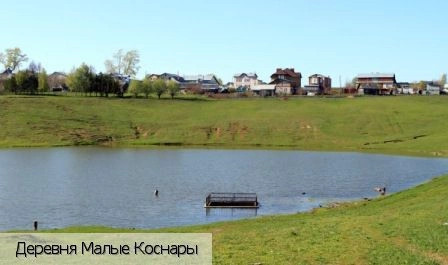 Малые Коснары