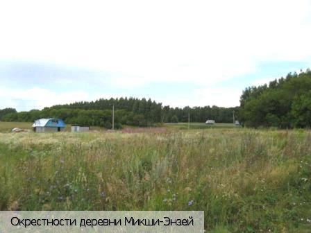 Микши-Энзей деревня
