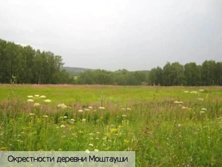 Моштауши
