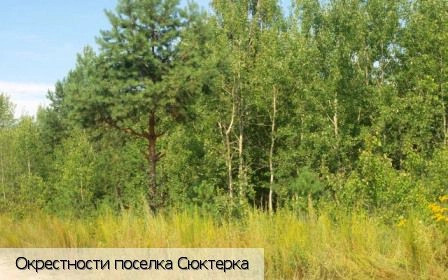 Сюктерка поселок