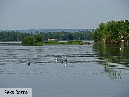 Сюктерка поселок