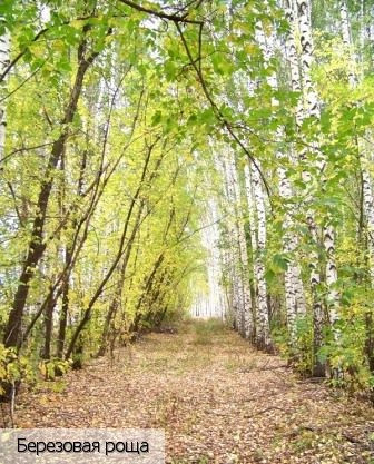 Хурынлых