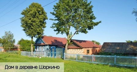 Шоркино деревня