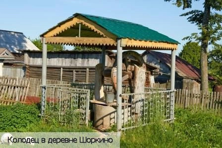 Шоркино деревня