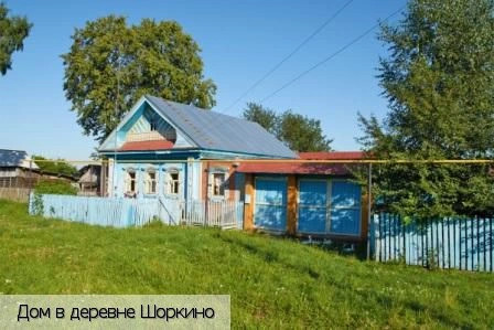 Шоркино деревня