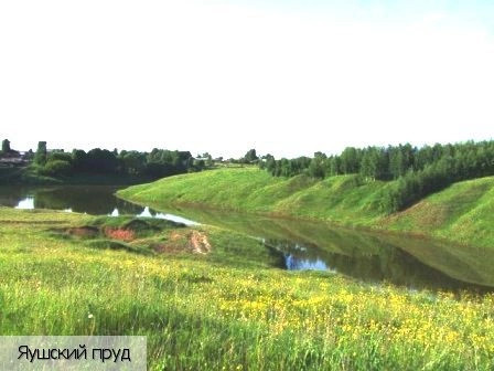 Чебоксарский район