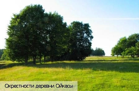 Ойкасы (Лапсарское с/п)