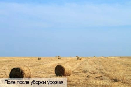 Сирмапоси деревня (Шинерпосинское с/п)