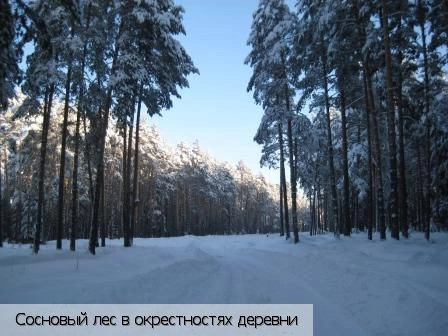 Карабай-Шемурша деревня