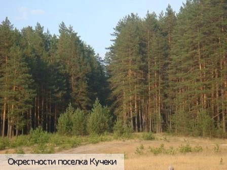 Кучеки поселок