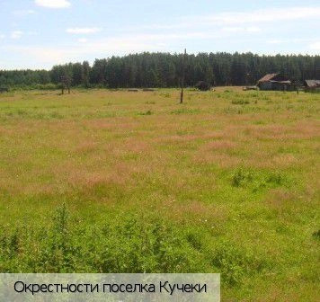 Шемуршинский район