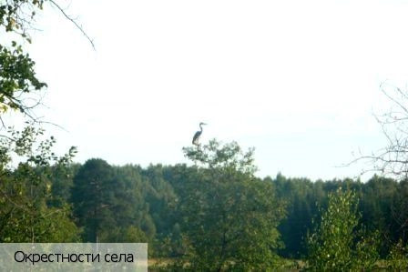 Шумерлинский район