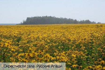 Русские Алгаши село