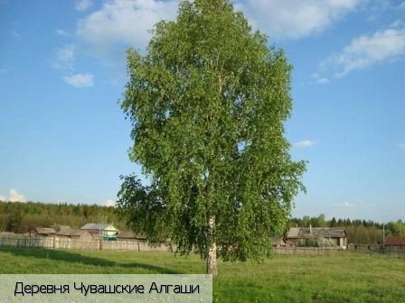 Шумерлинский район