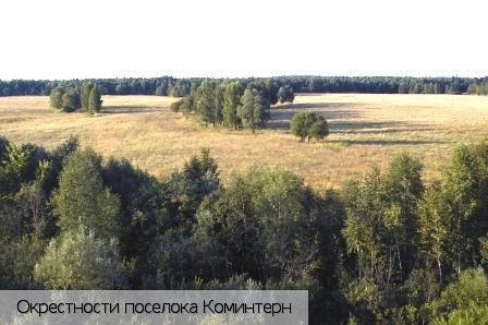 Коминтерн поселок (Шумерлинский р-н)