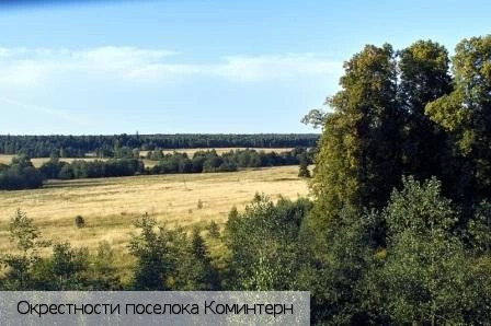 Шумерлинский район
