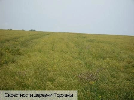 Торханы деревня (Шумерлинский р-н)