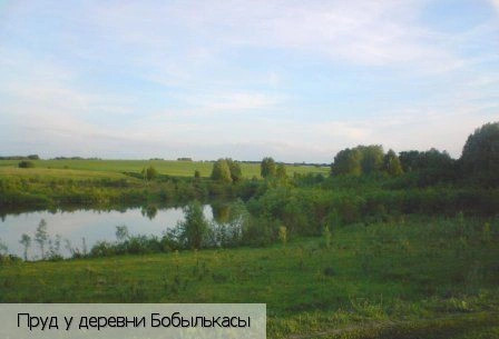 Бобылькасы