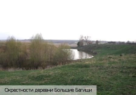 Большие Багиши