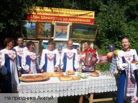 Большие Шемердяны село